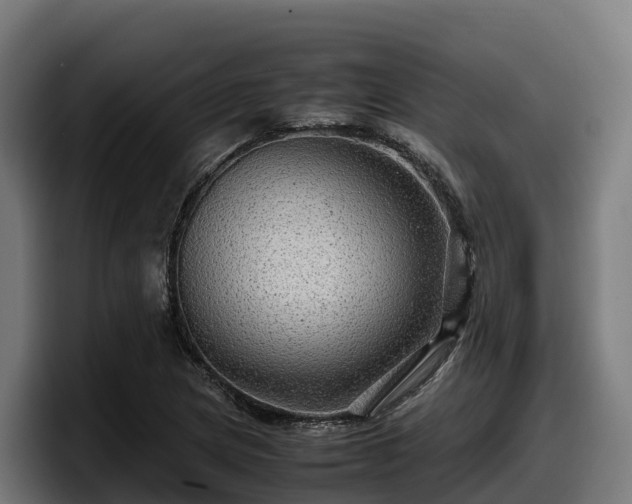 X0000097841217200803201511