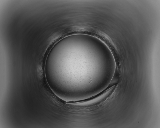 X0000097841218200803201511