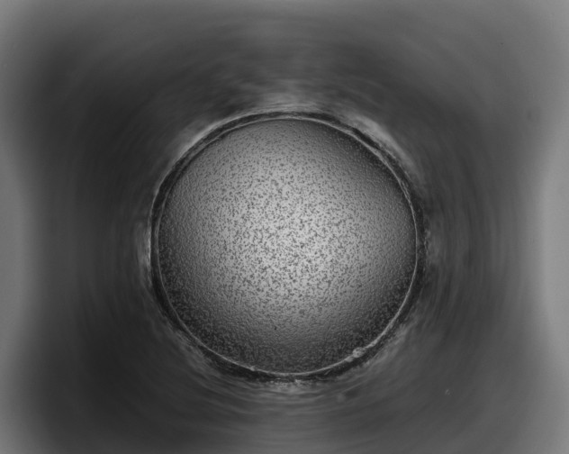 X0000097841220200803201511