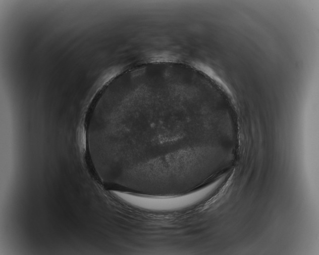 X0000097841221200803201511