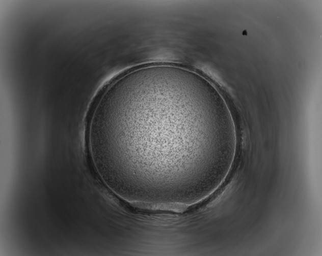 X0000097841222200803201511
