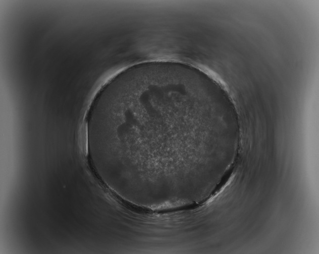 X0000097841223200803201511