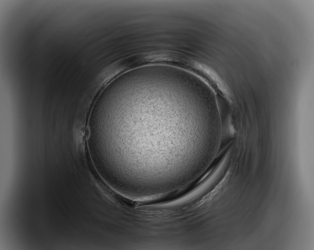 X0000097841225200803201511