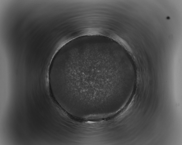 X0000097841226200803201511
