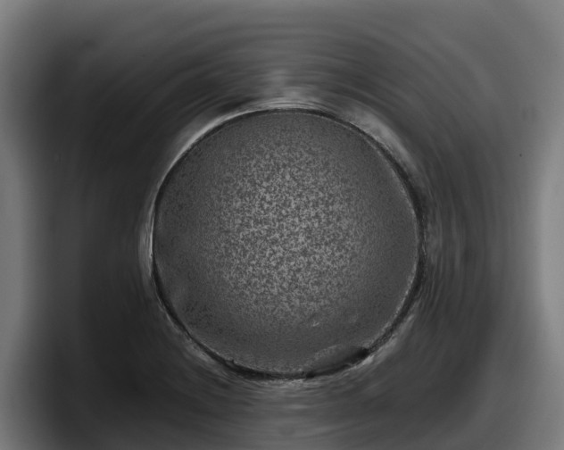 X0000097841228200803201511