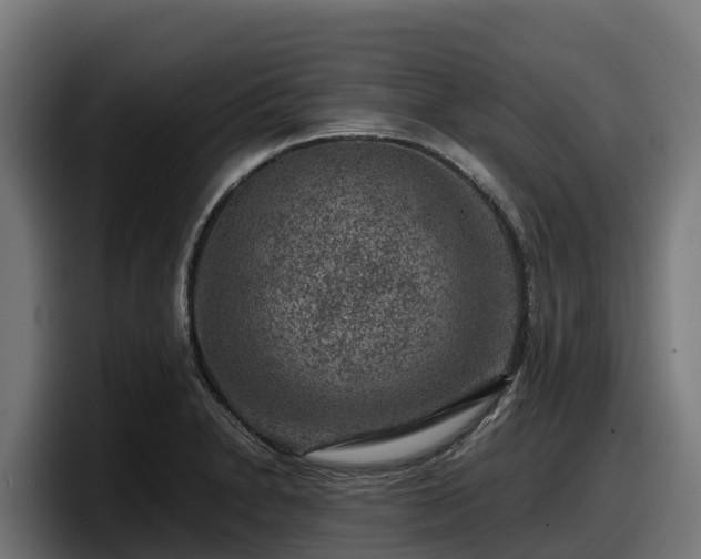 X0000097841230200803201511