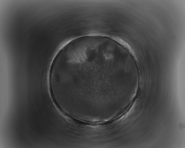 X0000097841231200803201511