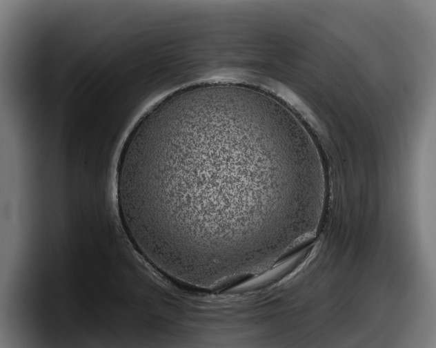 X0000097841232200803201511
