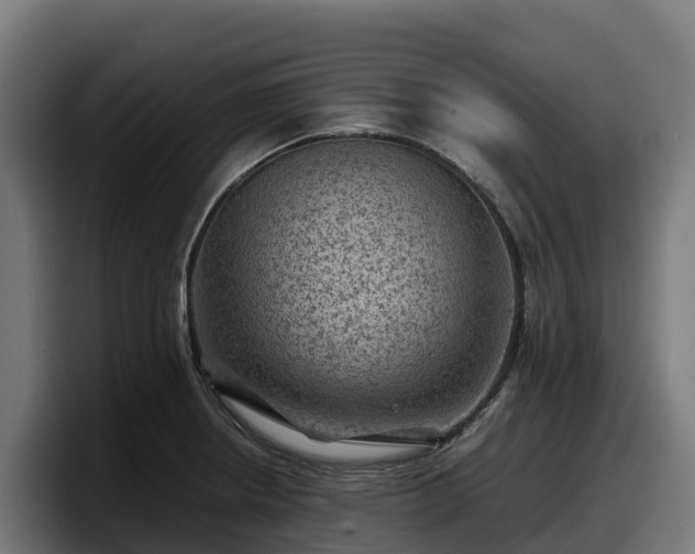 X0000097841234200803201511