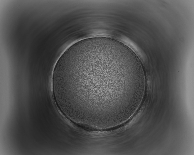 X0000097841236200803201511