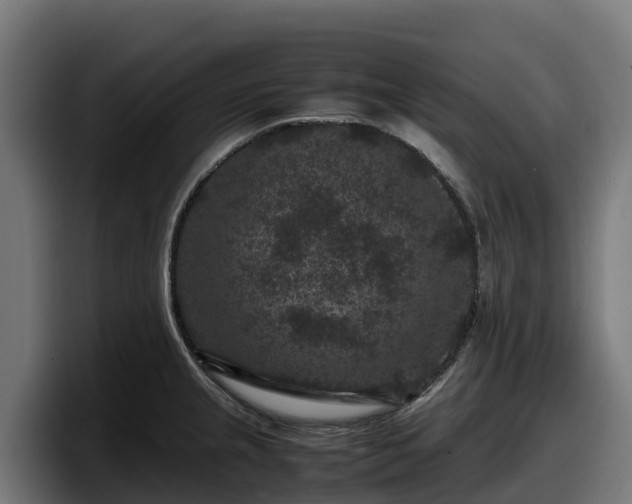 X0000097841237200803201511