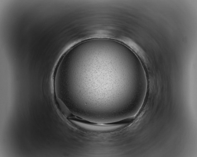 X0000097841238200803201511