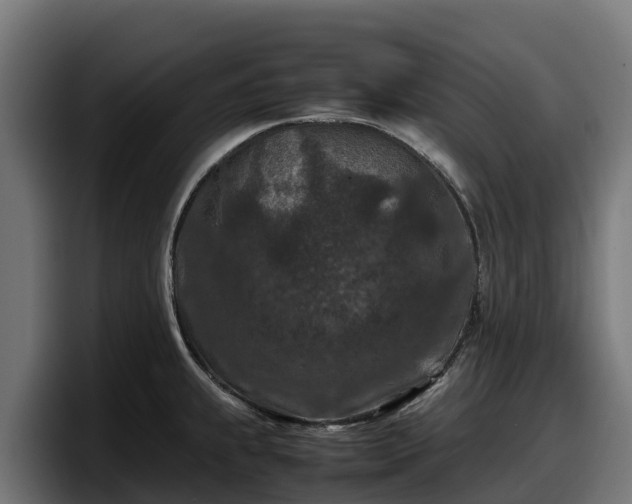 X0000097841239200803201511