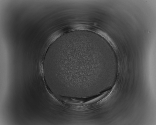 X0000097841241200803201511