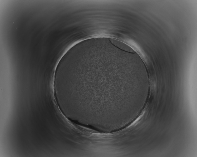 X0000097841244200803201511