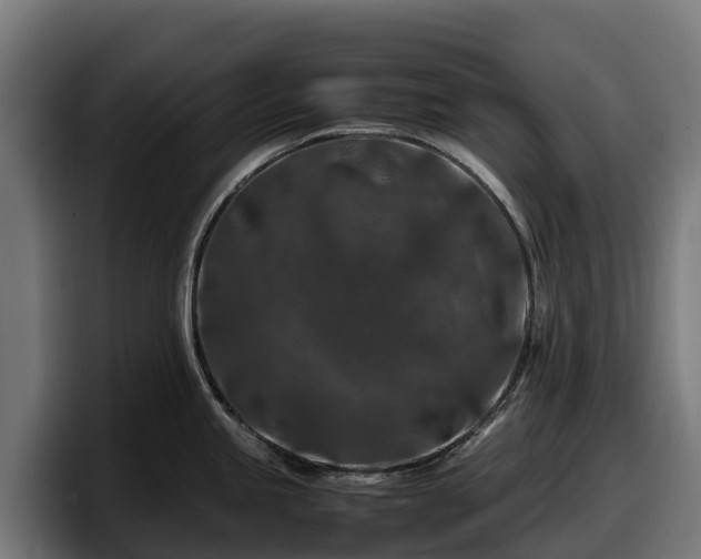 X0000097841245200803201511