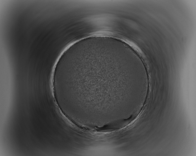 X0000097841248200803201511
