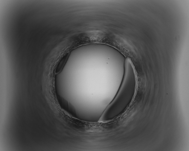 X0000097841249200803201511