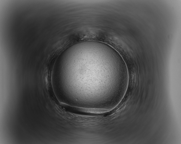 X0000097841250200803201511