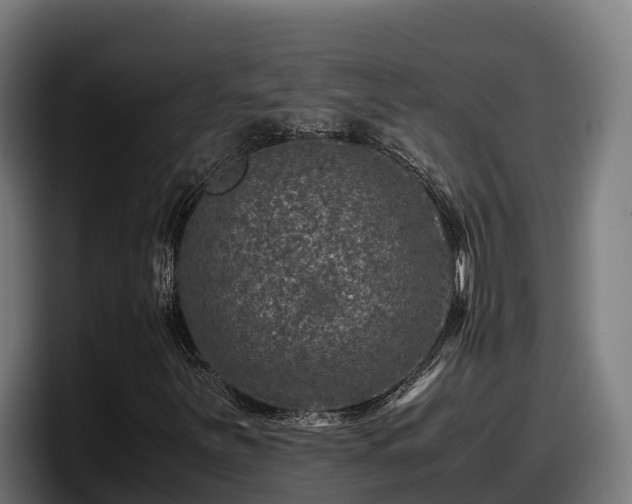 X0000097841251200803201511