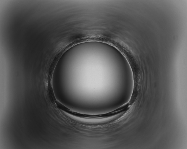 X0000097841257200803201511