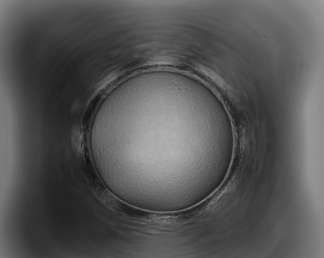 X0000097841258200803201511