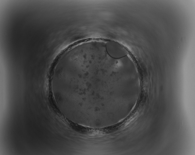X0000097841263200803201511