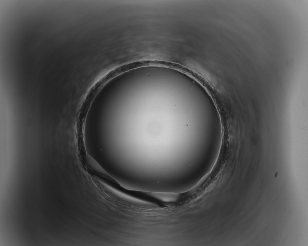 X0000097841264200803201511