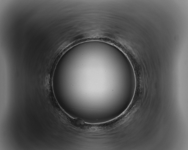 X0000097841265200803201511