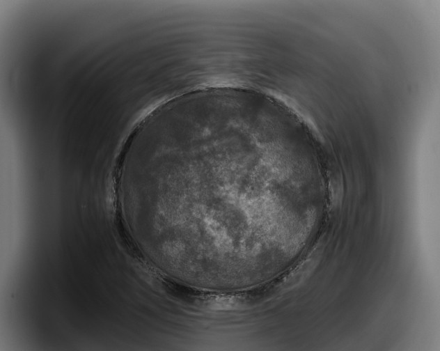 X0000097841266200803201511