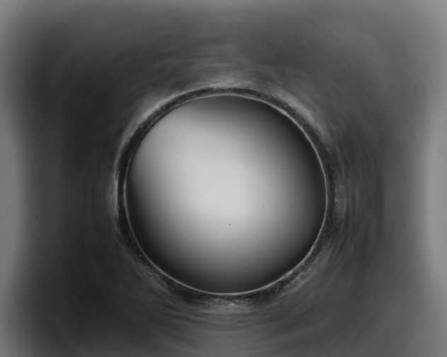 X0000097841270200803201511