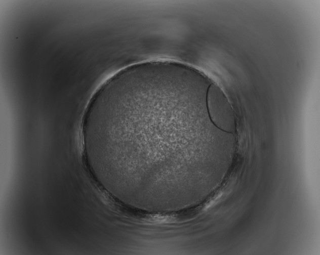 X0000097841271200803201511