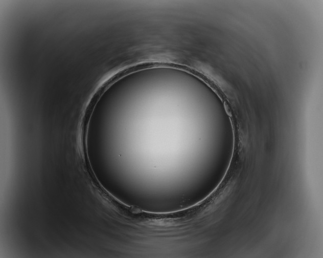X0000097841272200803201511