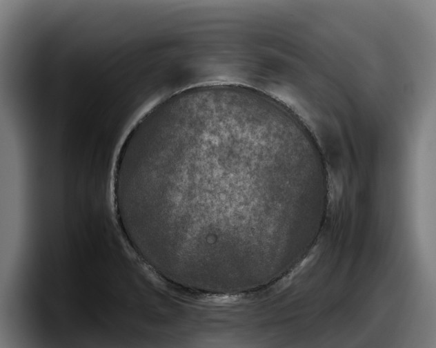 X0000097841278200803201511