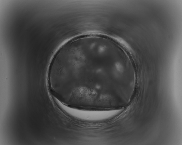 X0000097841279200803201510