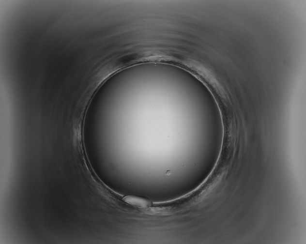 X0000097841281200803201510
