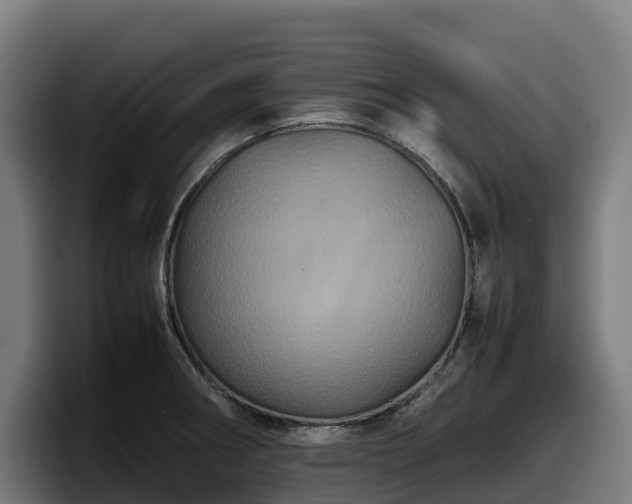 X0000097841282200803201510