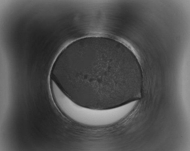 X0000097841283200803201510