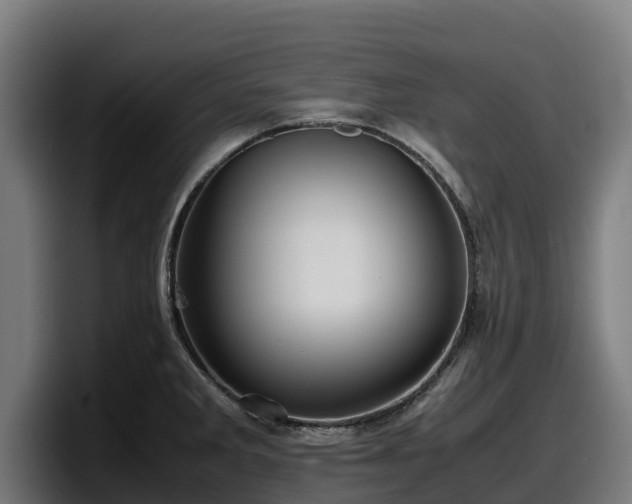 X0000097841285200803201510