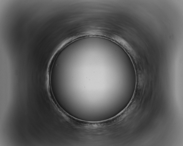 X0000097841286200803201510