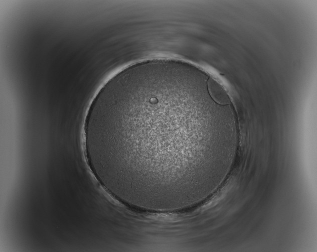X0000097841287200803201510
