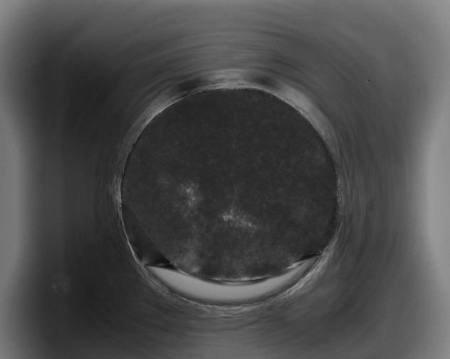 X0000097841289200803201510