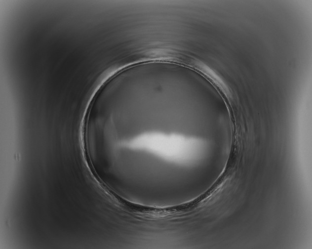 X0000097841291200803201510