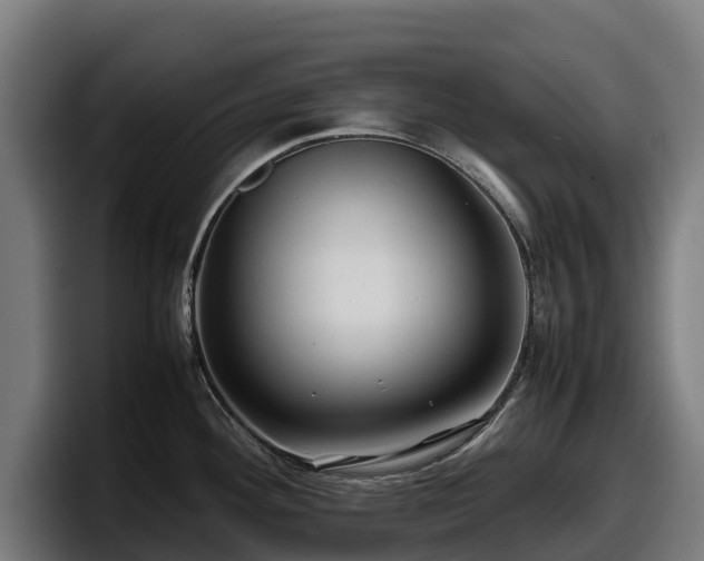 X0000097841292200803201510
