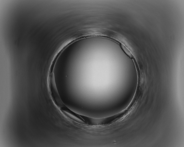 X0000097841293200803201510