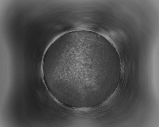 X0000097841294200803201510