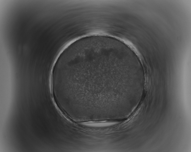 X0000097841295200803201510