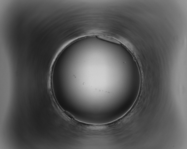 X0000097841296200803201510
