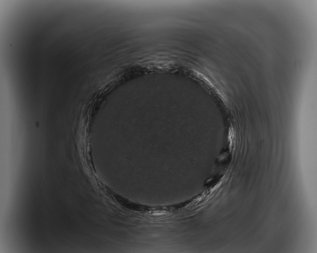 X0000097841297200803201510