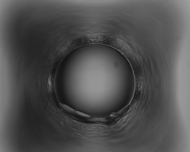 X0000097841298200803201510